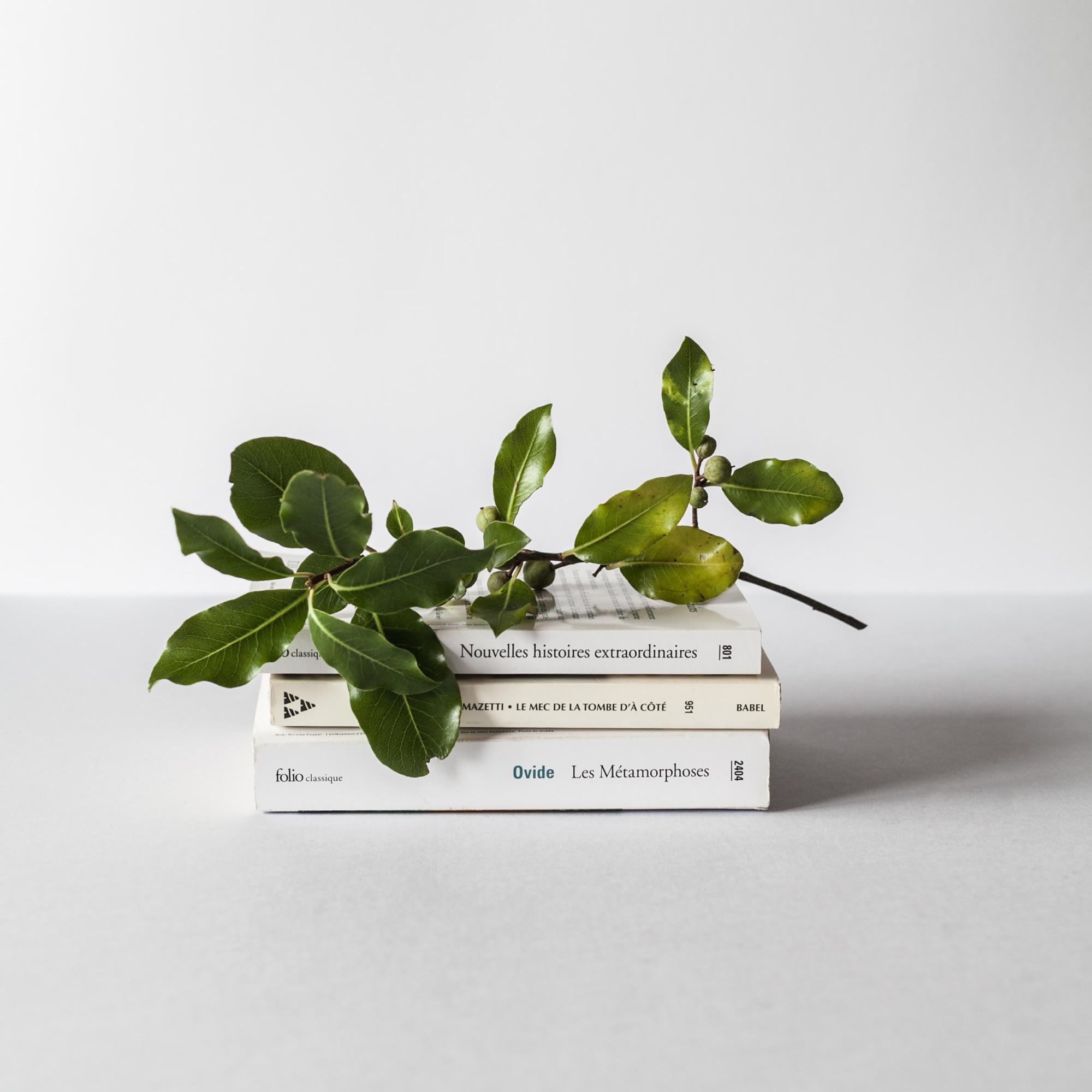 Stacked paperback editions with a green sprig on a paper-white ground